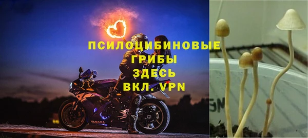 MDMA Арсеньев